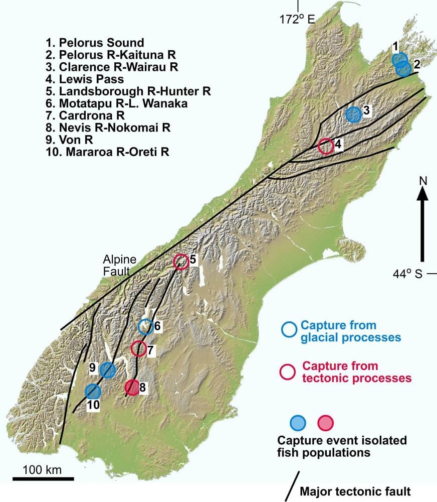 Mapa del congost del riu de nova zelanda