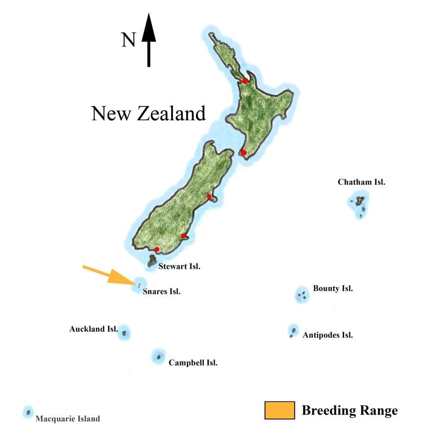 Mapa de nova zelanda i les illes circumdants